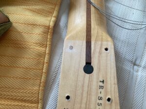 guitar_9865