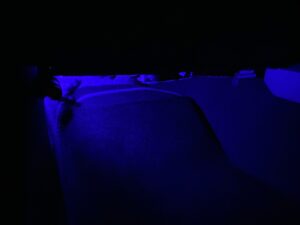 footlamp_0977