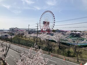IMG_1885