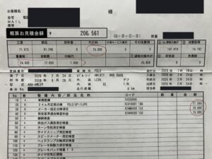 polo_shaken_3210