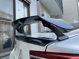 sard_lsr_3489
