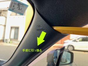 zn6_suede_3631