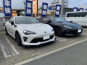 zn6_mt_3953